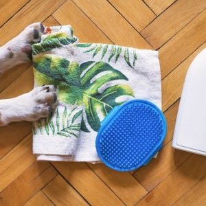 Grooming Products for Dogs