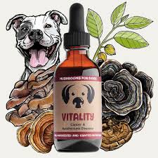 MycoDog Vitality - Boost Your Dog's Immune System & Overall Vitality - Image 2