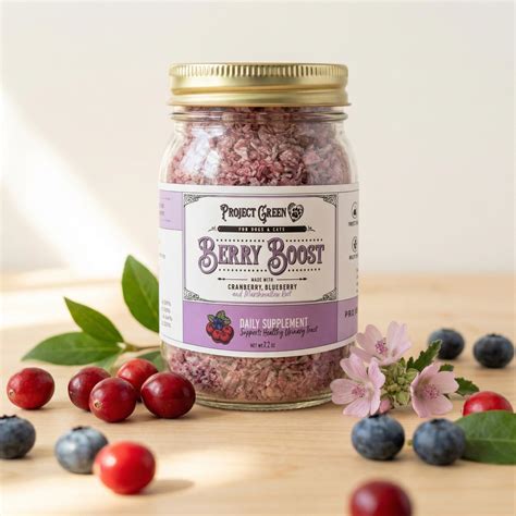 Project Sudz Berry Boost